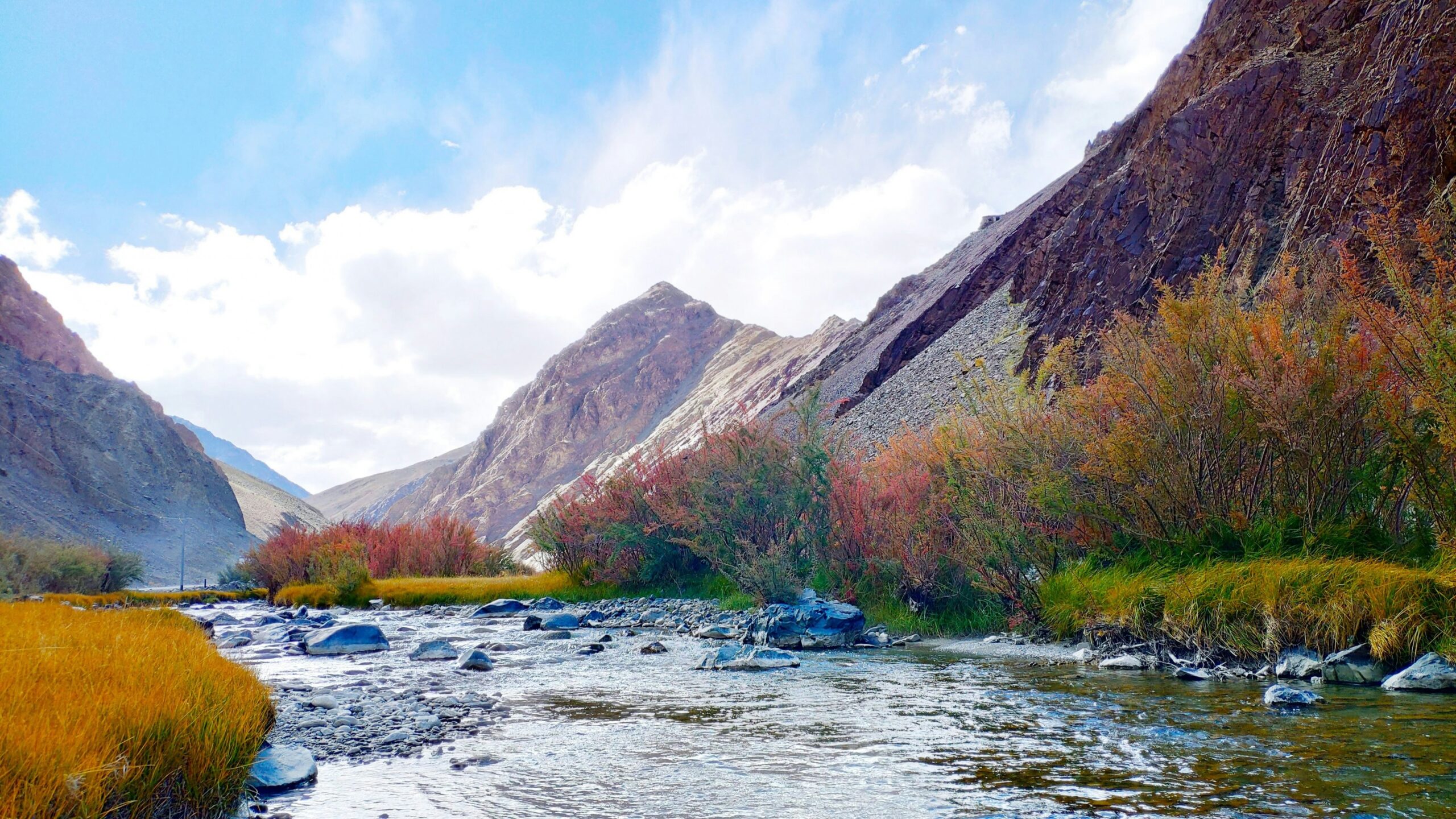 Jammu India