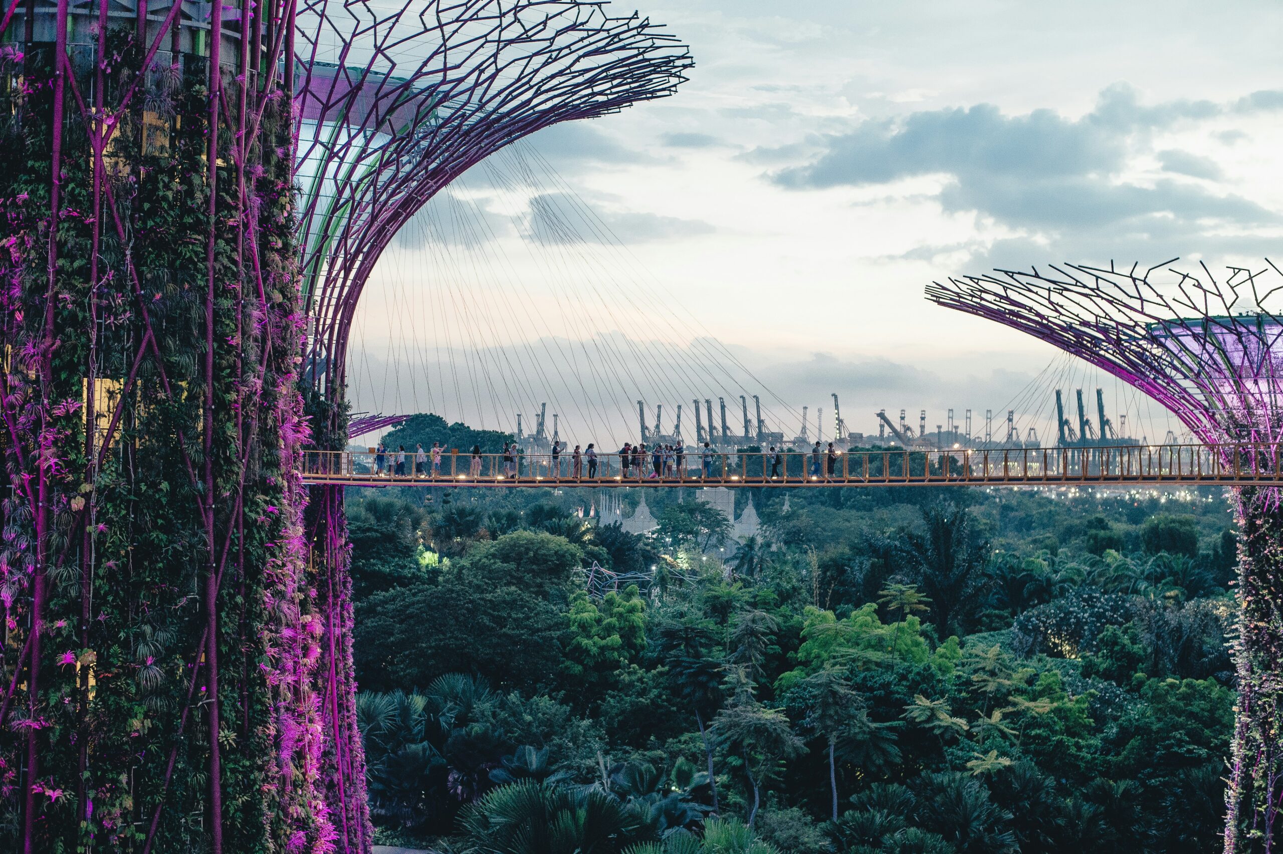 A Comprehensive Guide to Singapore: The Lion City